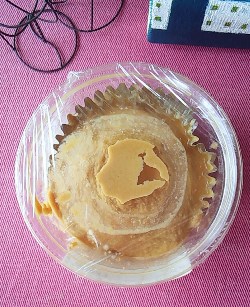 今月のオススメは何といっても！