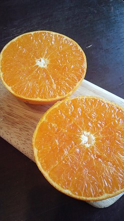 プレミアムは、こうやって出来ましたストーリー