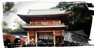 2016年　初詣　大山祇神社