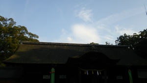 2016年　初詣　大山祇神社