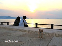 羊毛犬とサンポート高松の夕日