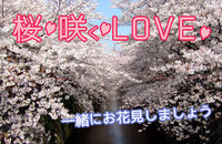 桜咲く LOVE