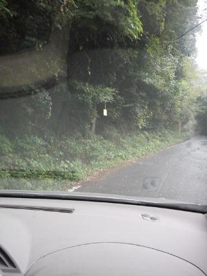 秋を感じてきました！