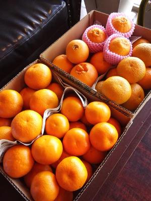 生産力のある母！！