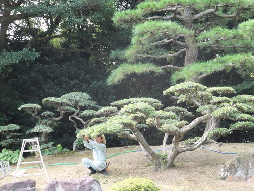 Breakfast in Ritsurin Garden