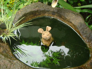 “定例夏の会・・・♪”