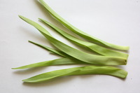 “春の山菜・・・♪”