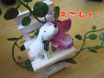 6月の「ものいち」