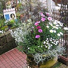 リトルガーデン