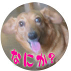 主婦ったりもする