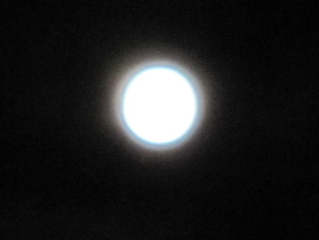 ７月２６日１０：３７