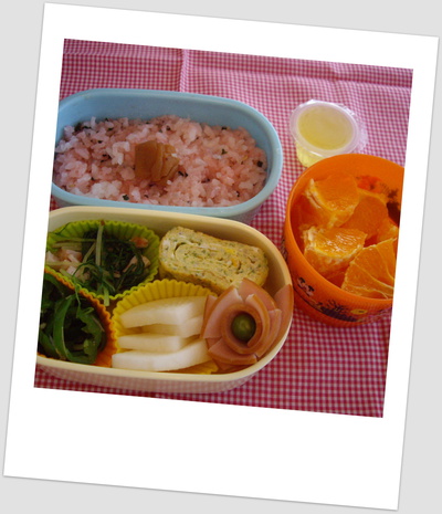 小学生低学年の遠足弁当