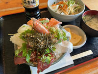 海老も鰹のタタキもさいこうっ
