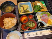 さしみうまうま