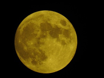 13.3夜