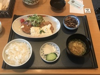 ニューサービス体験