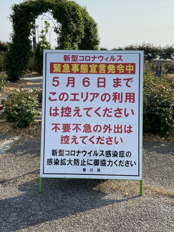 散歩とバラ園