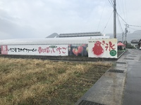 大きな看板が遠かった