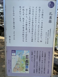 藤まつり中止の岩田神社