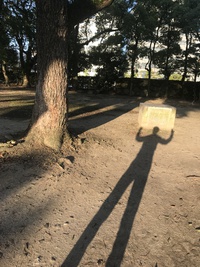影の力持ち