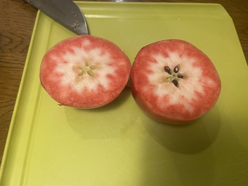 赤いリンゴ