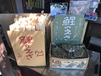 栗林公園 鯉のエサ話し