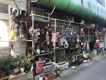 扇町パラダイス