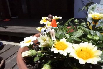 花とふちこ