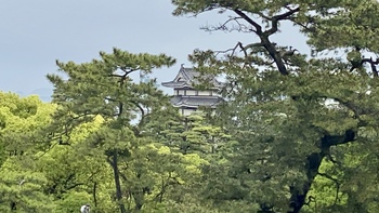 ハートの絨毯が待っている