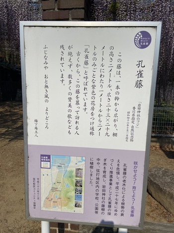 びっくり屋台が用意