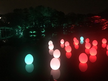 チームラボ光の祭