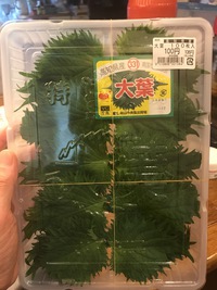 うちは寿司屋じゃない それから
