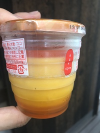モロゾフ  本日入荷
