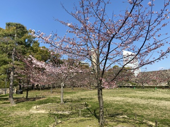 高松城は竜宮城？