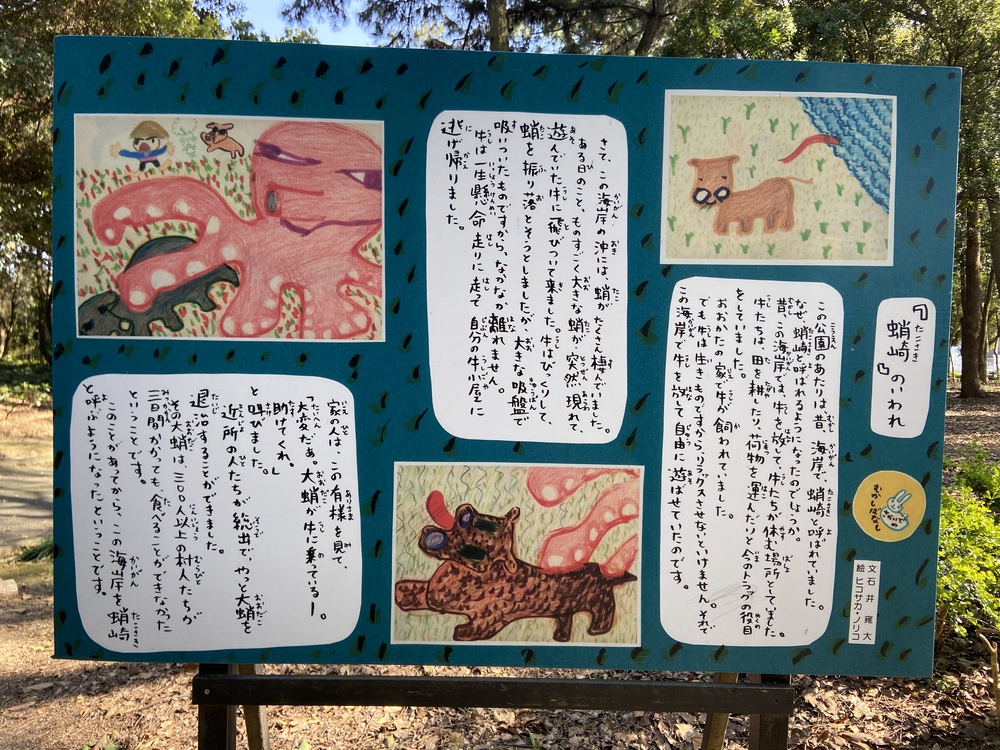 ムラサキハナナ