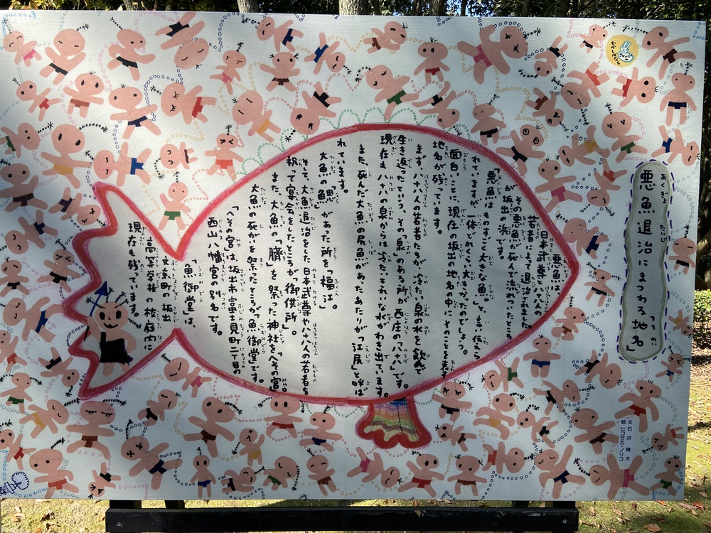 ムラサキハナナ