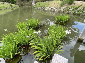 明日から休園の栗林公園