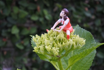 花とふちこ