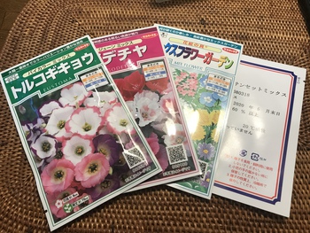 トルコ桔梗