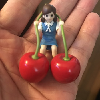 食べれる 赤い宝石  佐藤錦