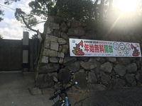 公園閉まってる