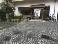 気になってたが もう空いてるだろ