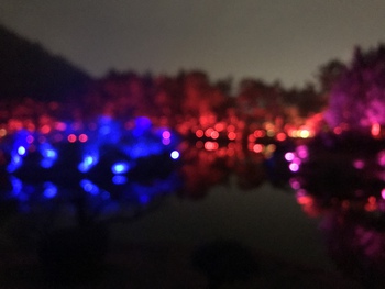 チームラボ光の祭