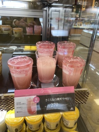 モロゾフ桜だよ