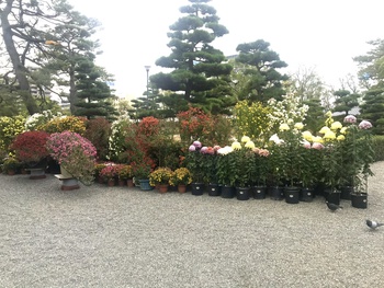 今日の公園