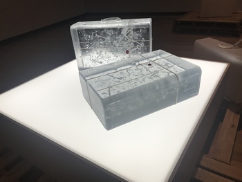 瀬戸芸参加作品展に行きました。