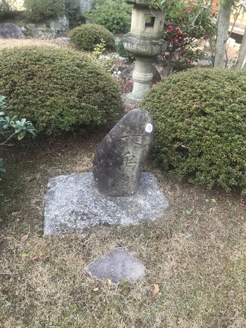 大禹謨のルーツ