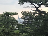 城とキリン