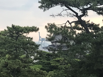 城とキリン