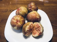 ミマヤのいちじく   美味くなる